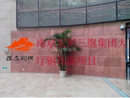 南京宏圖三胞集團大廳銅飾面項目